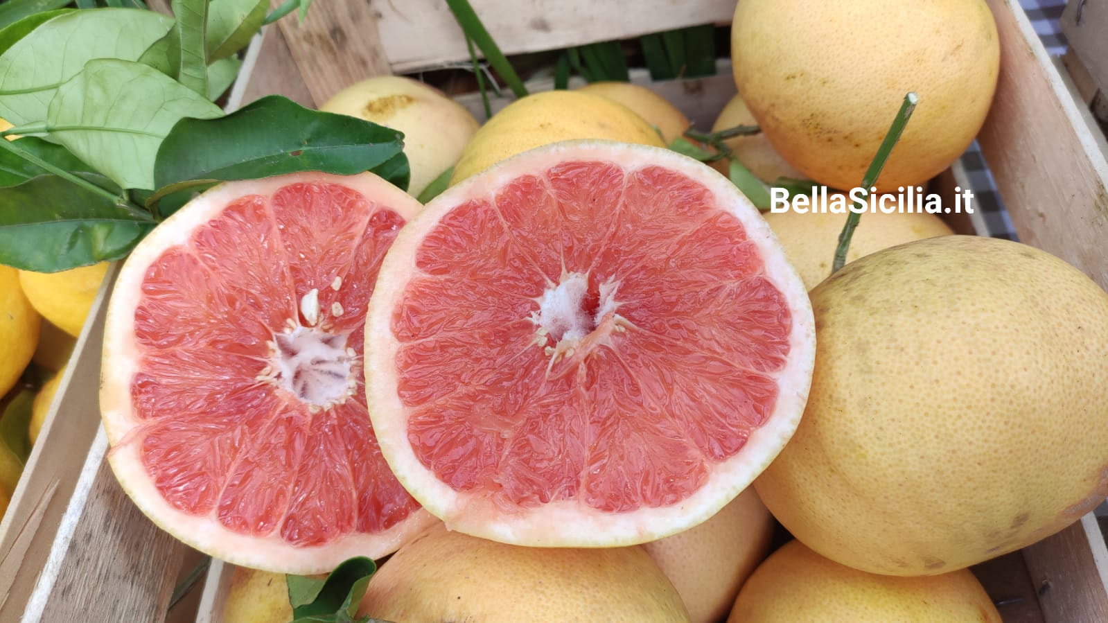 Pompelmo In Rumeno Pompelmo Rosa di Sicilia, il frutto ricco di Vitamine e Benefici per la ...